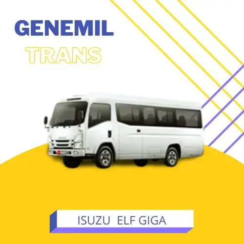 elf-genemil-trans-2